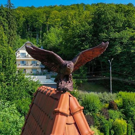 Vila Silvia Sovata Exteriér fotografie