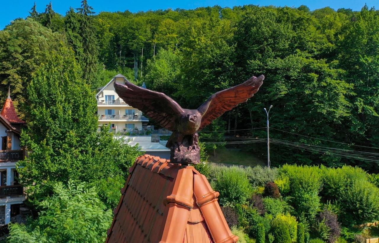 Vila Silvia Sovata Exteriér fotografie