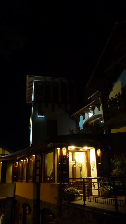 Vila Silvia Sovata Exteriér fotografie