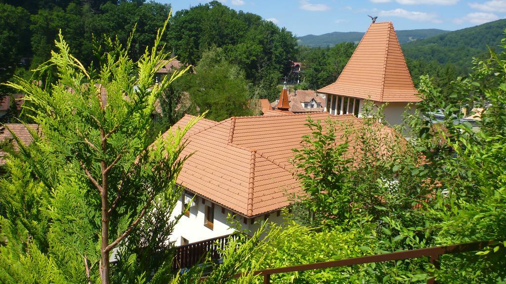 Vila Silvia Sovata Exteriér fotografie